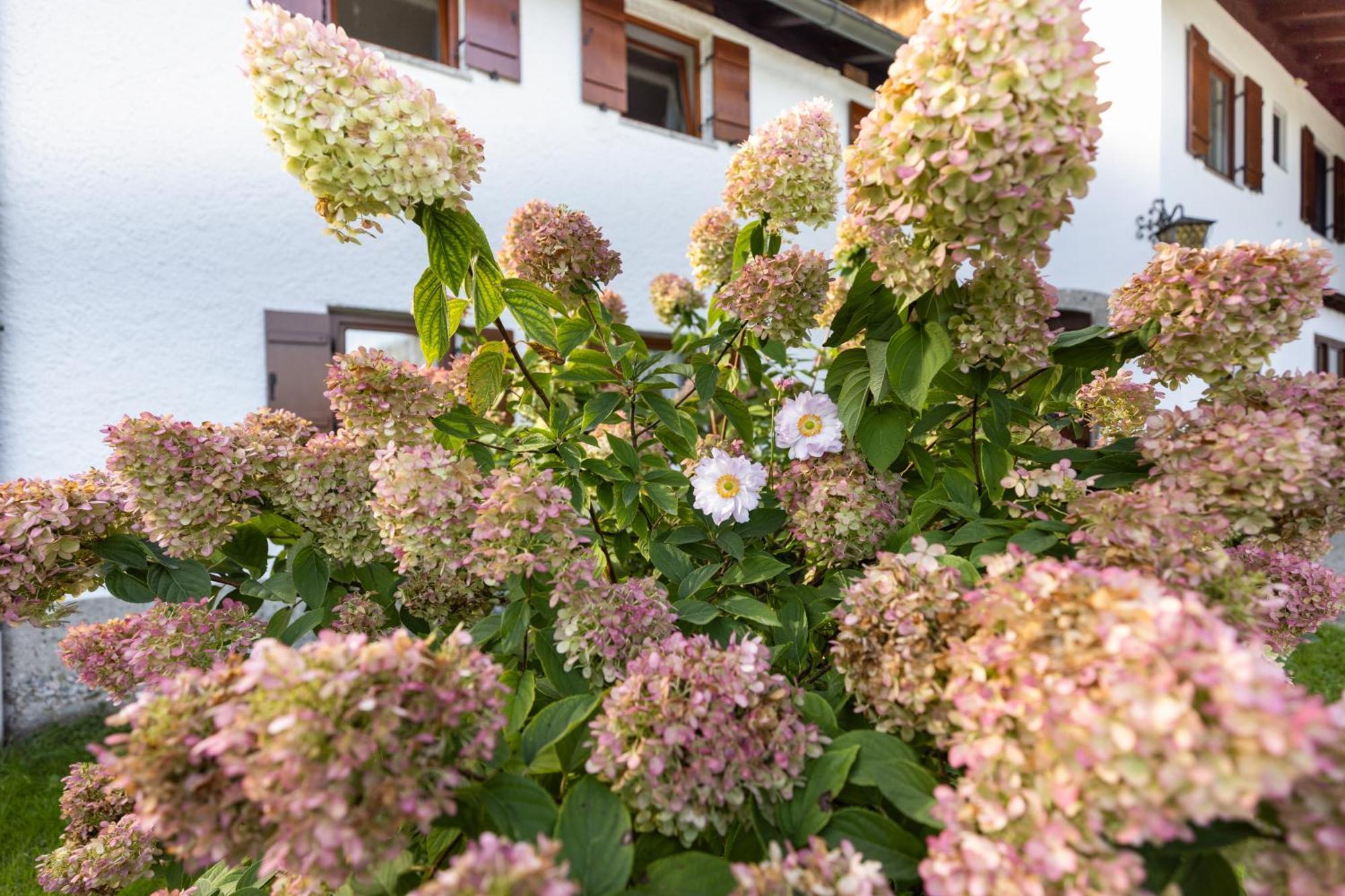 Ferienwohnung Alpenglueck Marktschellenberg Luaran gambar