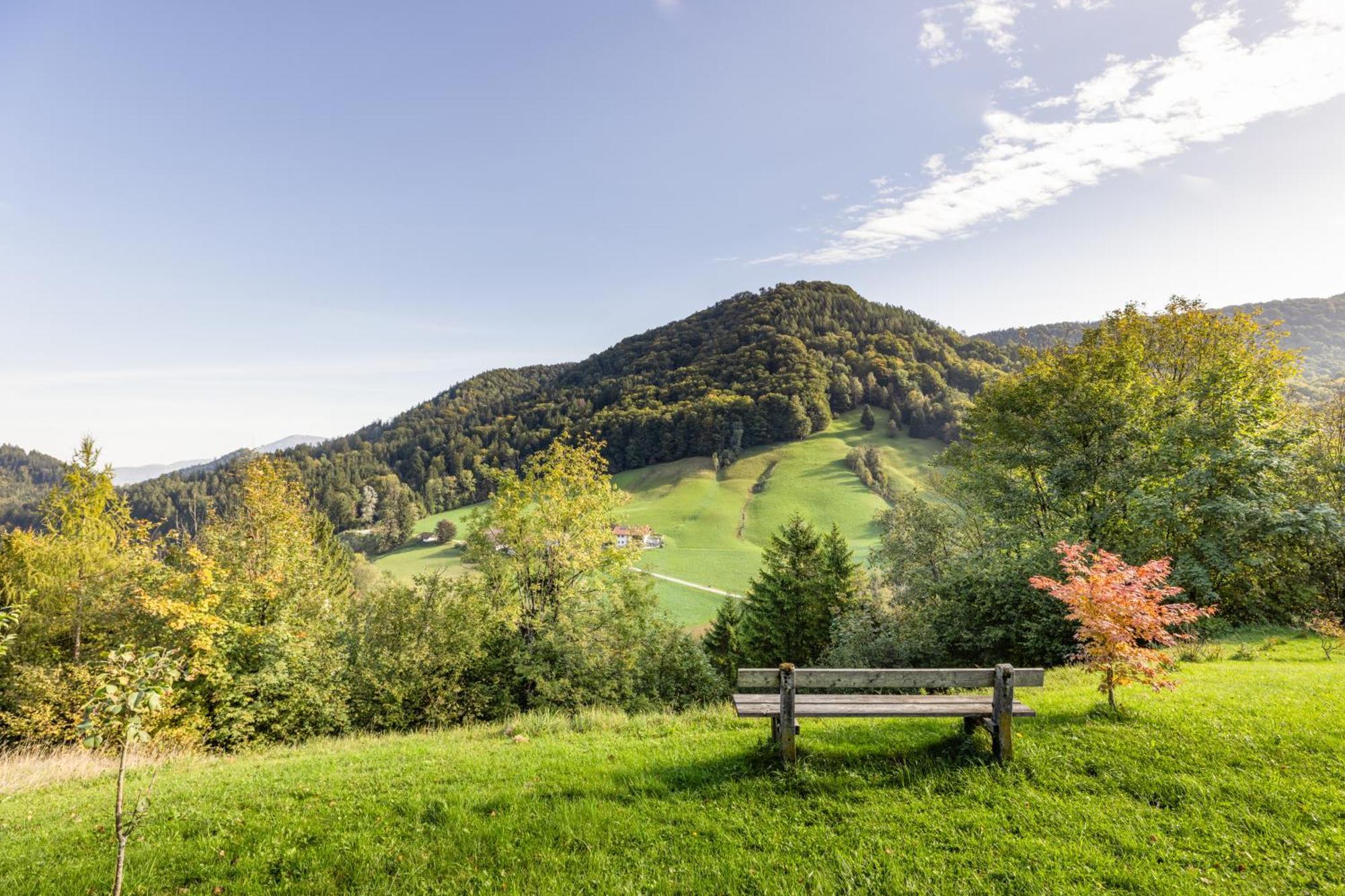 Ferienwohnung Alpenglueck Marktschellenberg Luaran gambar